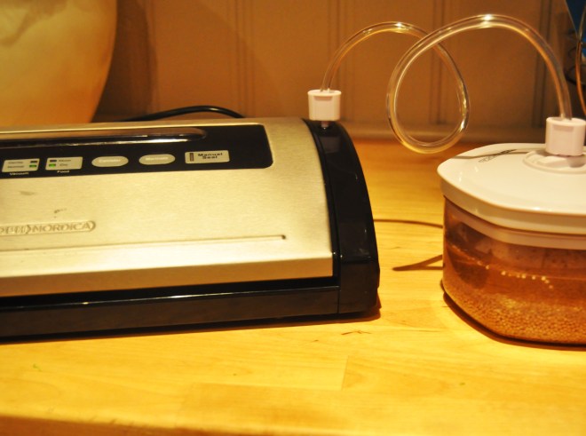 syltet sennepsfrø_ferdig