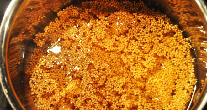 syltet sennepsfrø_koking