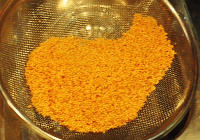 syltet sennepsfrø_tilskylling