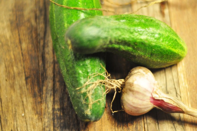 agurk og hvitløk