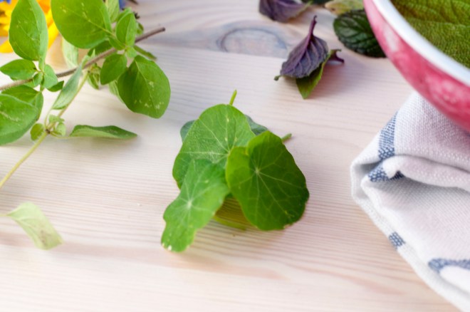 farentilkongen - gartneren (15)