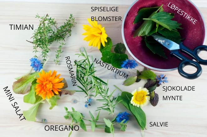 farentilkongen - gartneren (2)_med tekst2