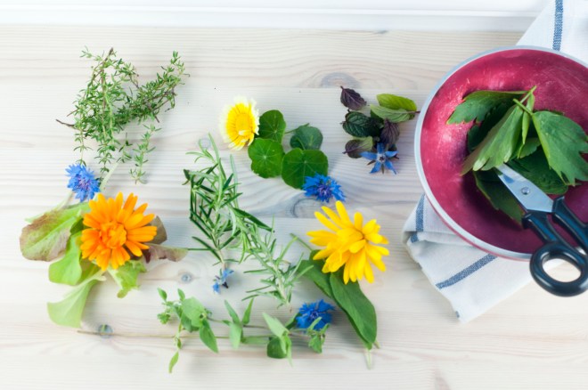 farentilkongen - gartneren (6)