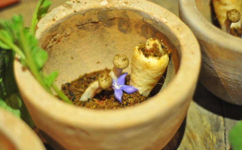 Fem retters meny – Rett 1 – Den spiselige&nbsp;hage