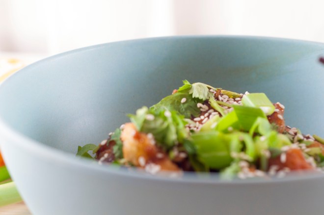 appelsin kylling med ingefærris (11)