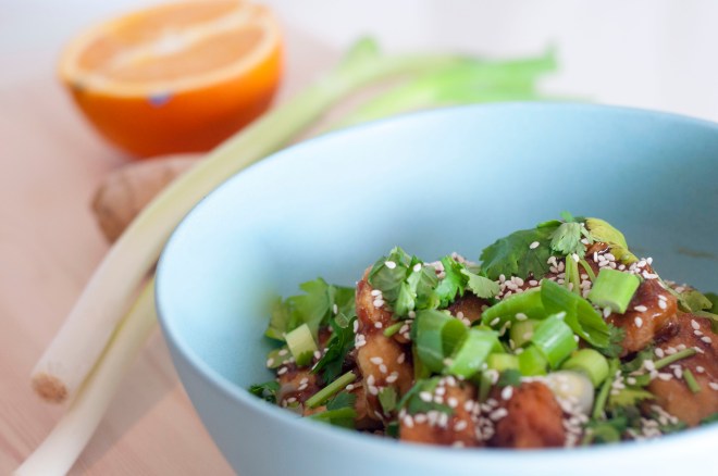 appelsin kylling med ingefærris (45)